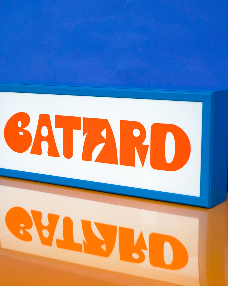 600 x 235mm Outdoor Lightbox